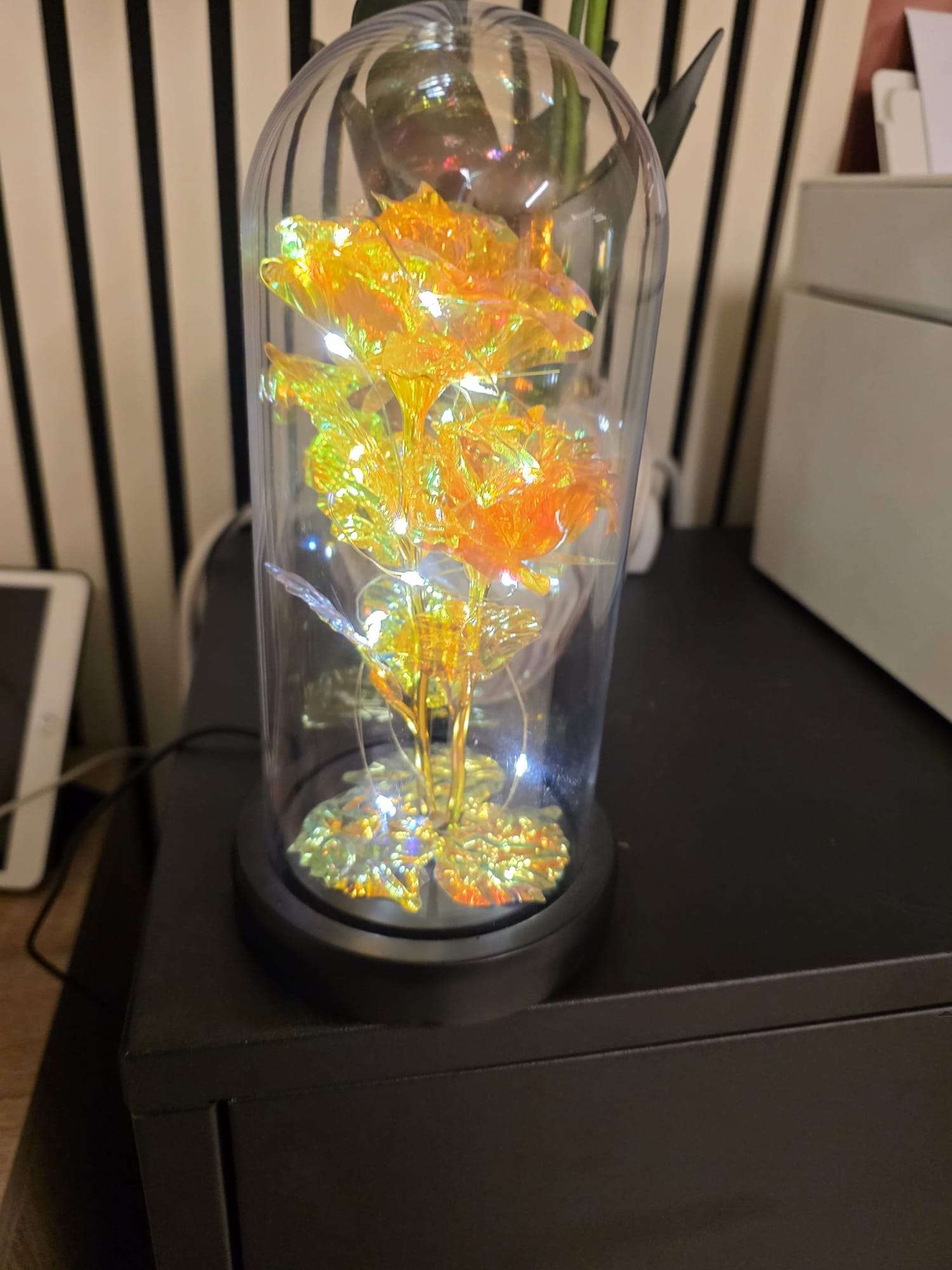 3a597a2c-83e2-4144-b675-2b1ceae3c16f