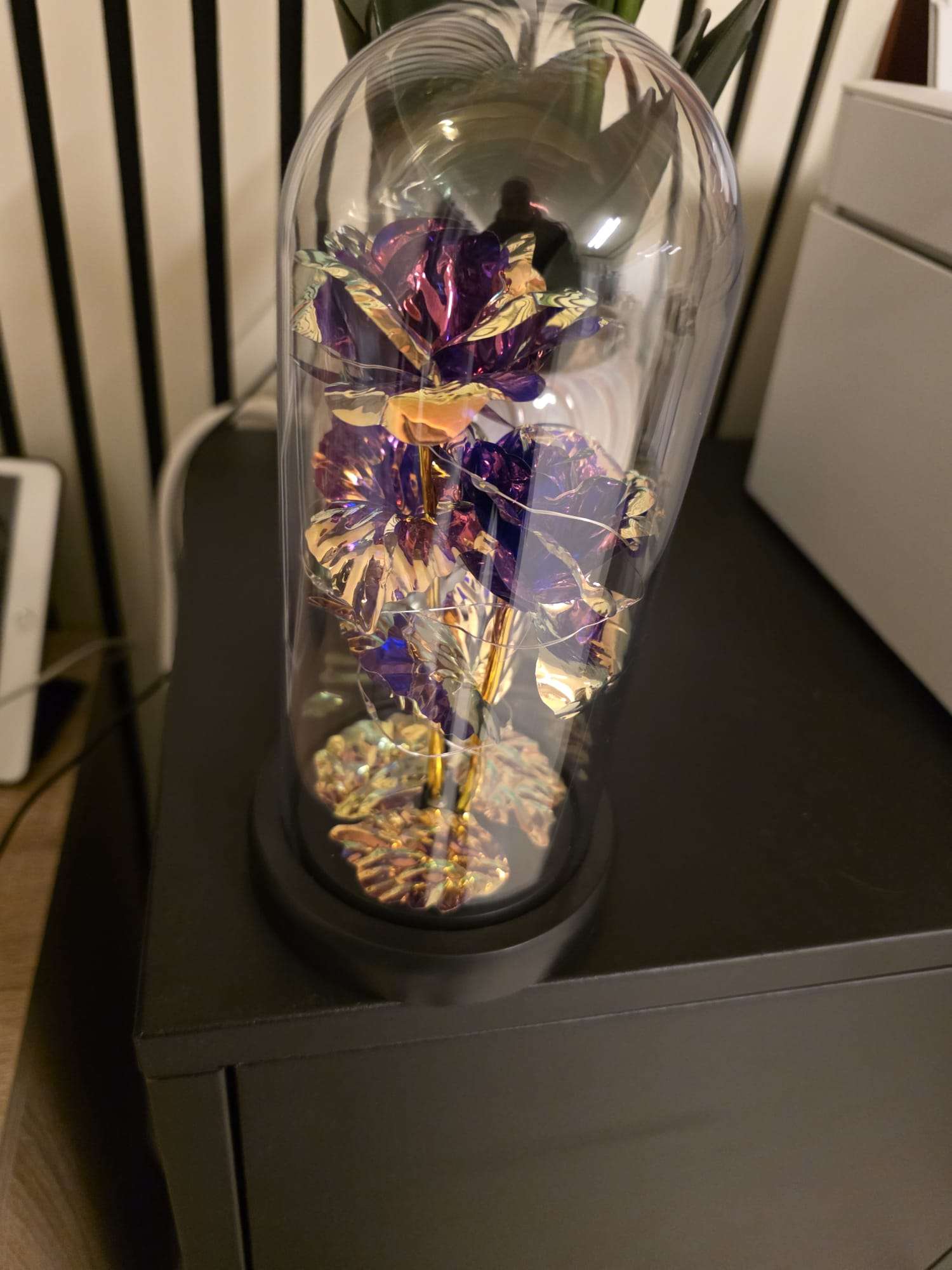 405c6674-1671-4400-8197-1fab046d0a2d