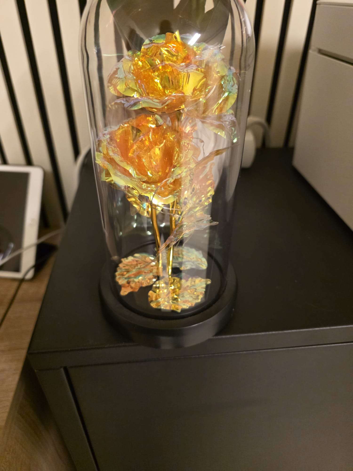 a551ebfd-29ae-4d5e-950e-374a300ff5d7