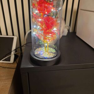 LED Regenbogen Rose im Glas