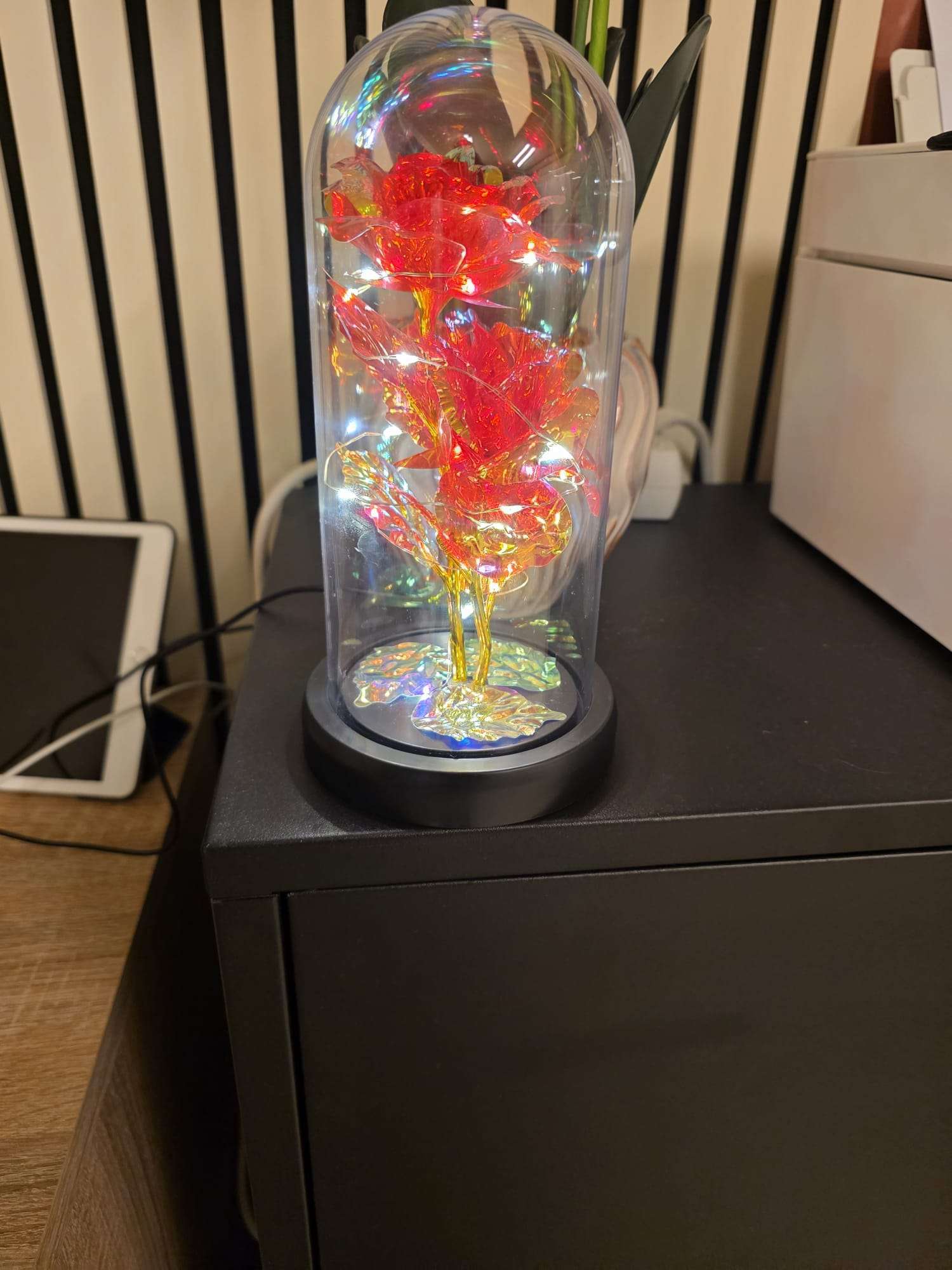 a696989c-faca-4cb7-ae9d-b095ea919354