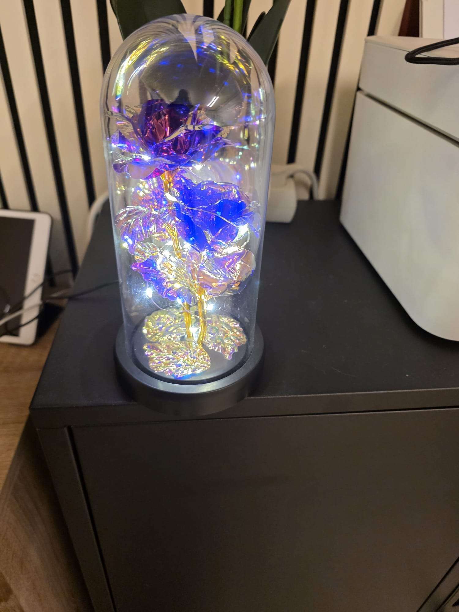 e1164d74-12e0-4c5c-8294-f92f806b8bcb