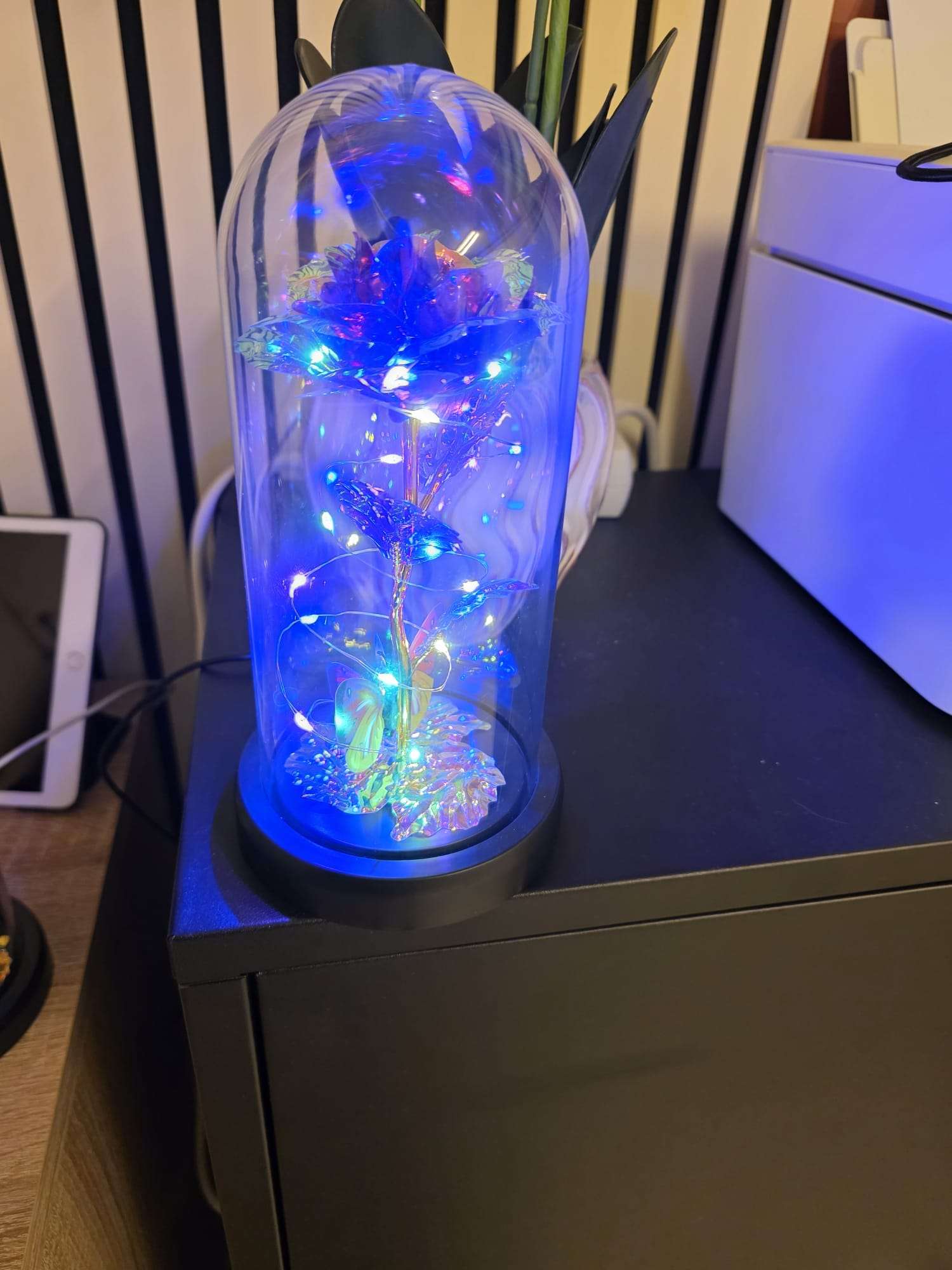 e465e624-48a3-4fff-b438-75e95d7f779c